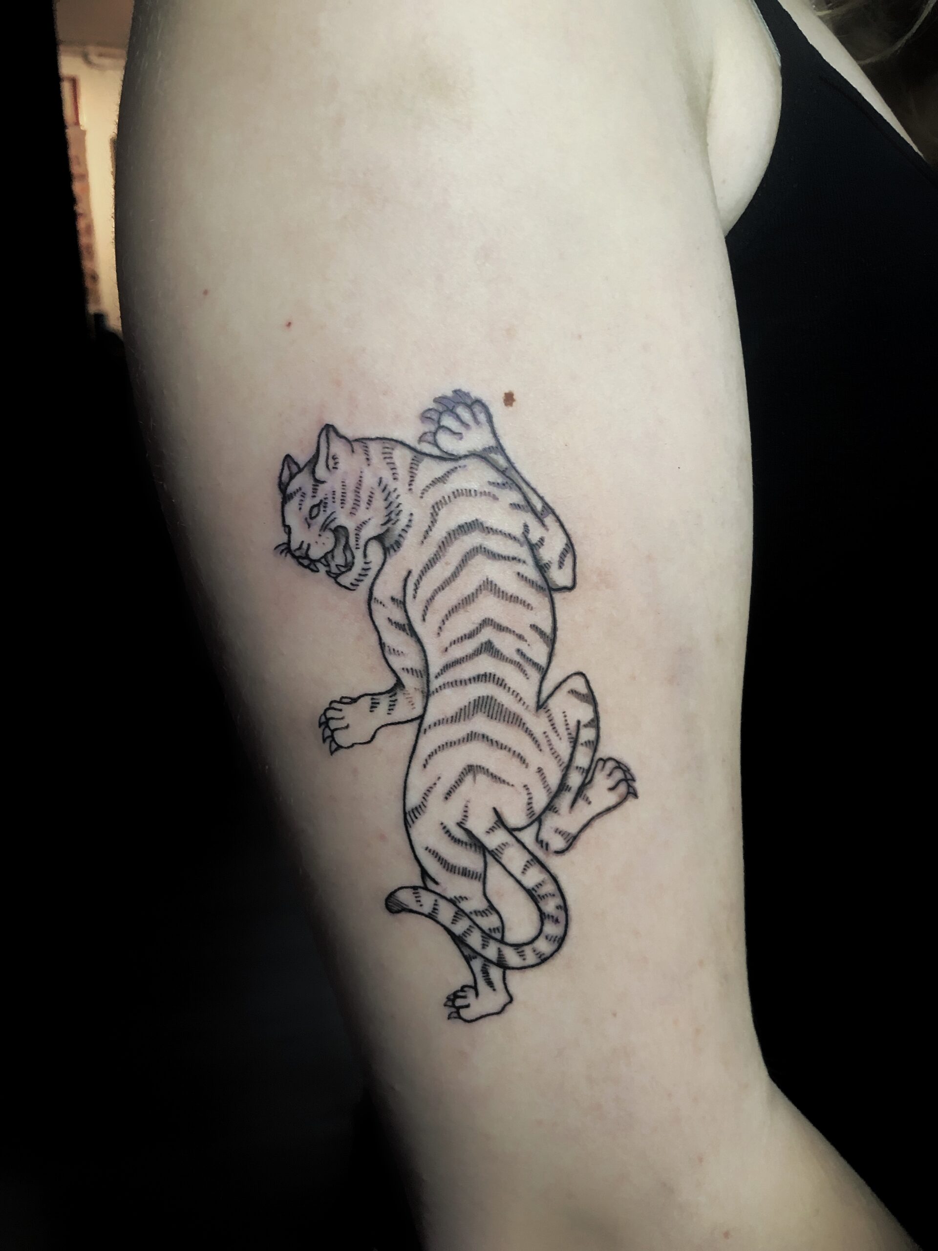 Fineline tijger tattoo op been, gezet door Famke (Ocean Tattoo) bij True Spirit Tattoo Barendrecht